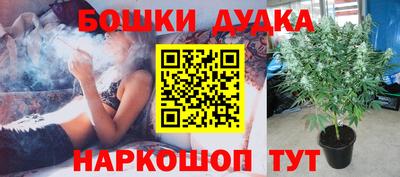 индика Комсомольск-на-Амуре