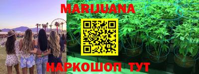 ECSTASY Краснознаменск