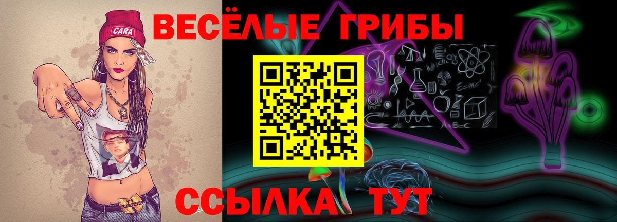 Галлюциногенные грибы Magic Shrooms Кашира